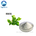 Grüner Teeextrakt Polyphenol 98% EGCG 40% Catechine